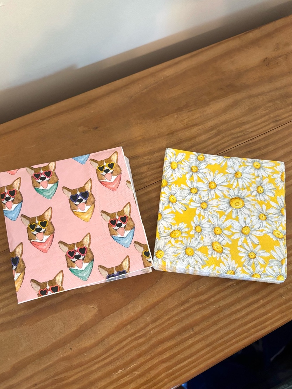 💥 Summer Fun Party Napkin Set - Cool Corgis & Darling Daisies